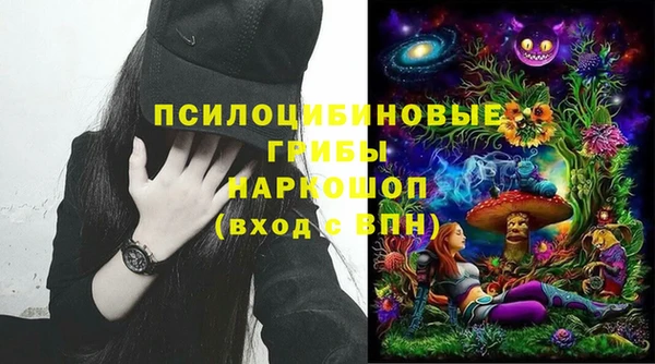 mdma Няндома