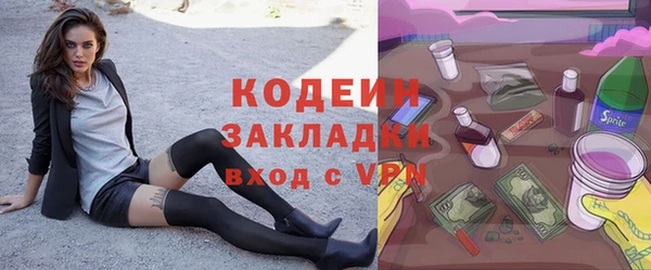 гашик Осинники