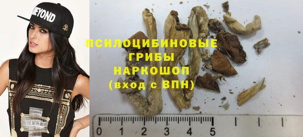 mdma Няндома