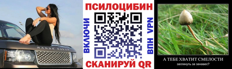 как найти наркотики  Новокубанск  Псилоцибиновые грибы мицелий 