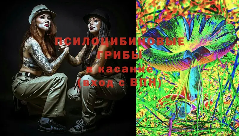 Галлюциногенные грибы Magic Shrooms  Новокубанск 