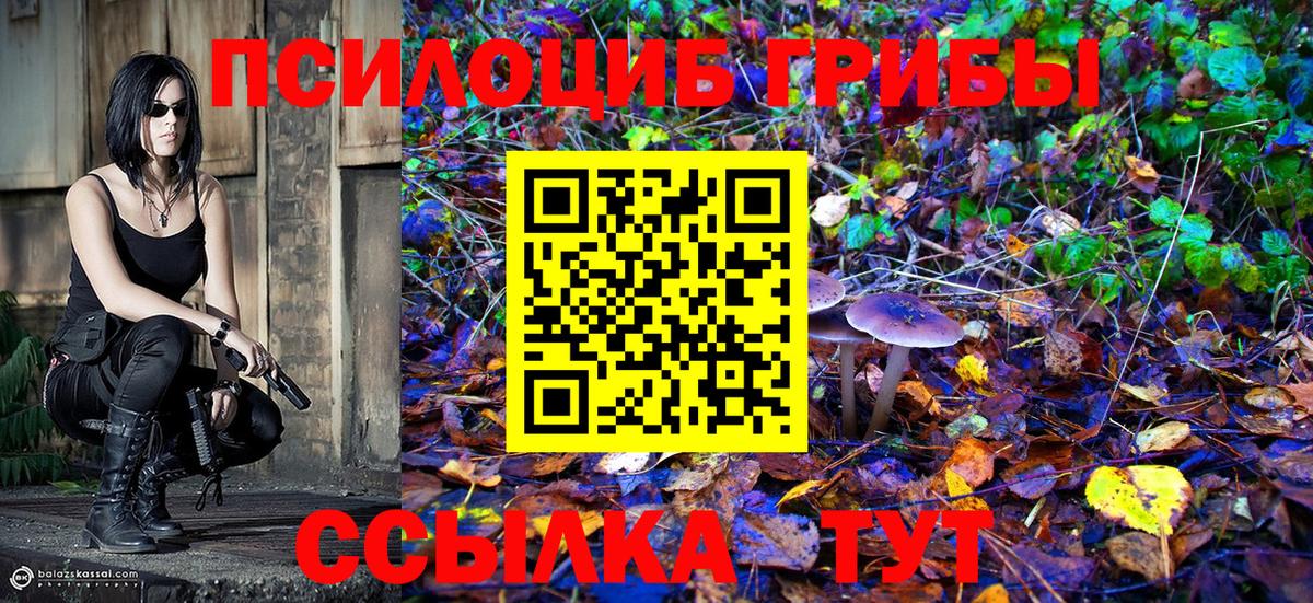 Галлюциногенные грибы Psilocybe  Вход с VPN  Новокубанск  хочу   Галлюциногенные грибы GOLDEN TEACHER 