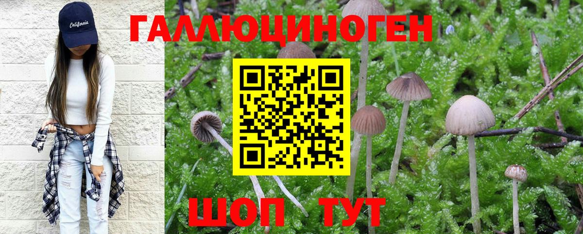 Галлюциногенные грибы Magic Shrooms Новокубанск